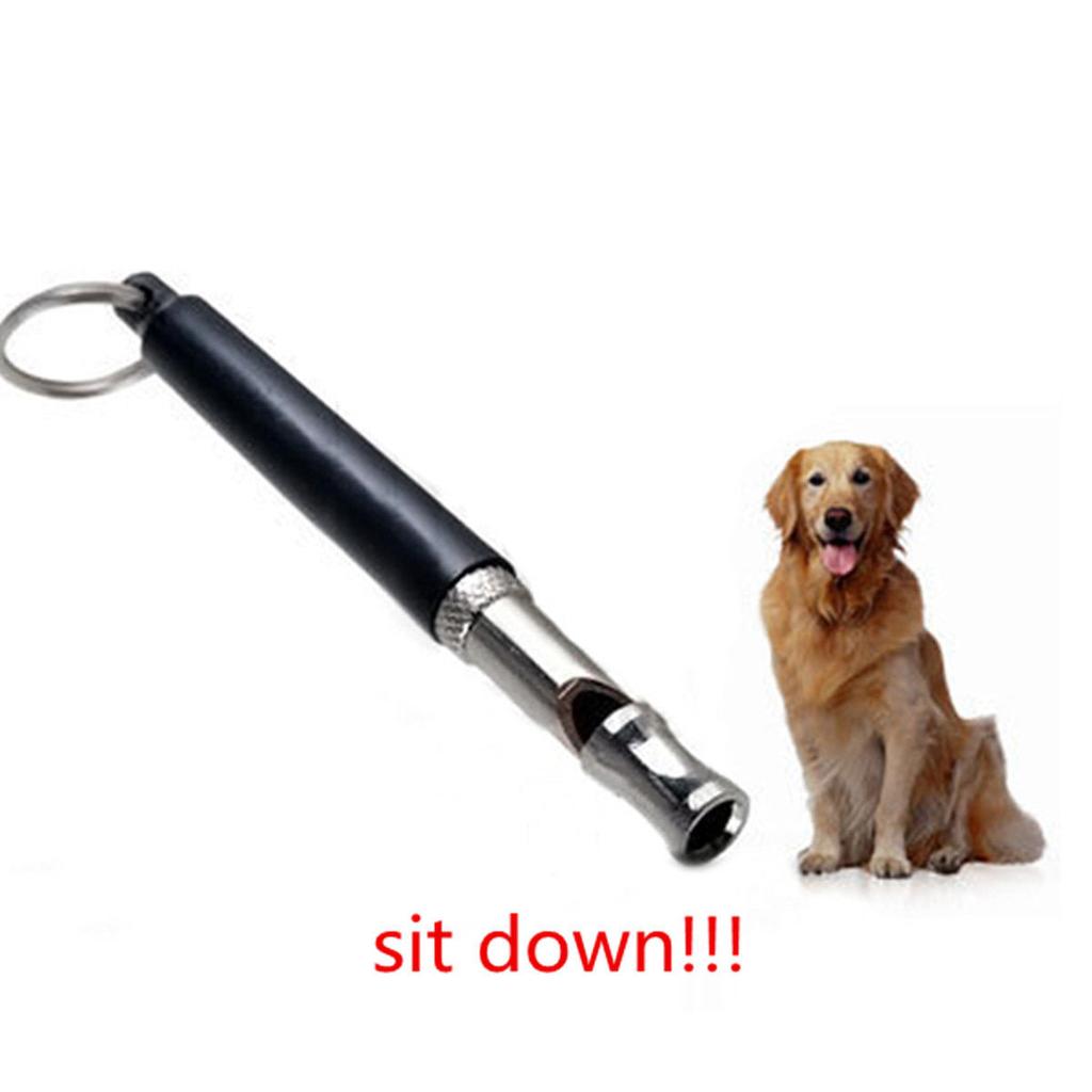 Silent Dog Whistle Training Tool with Keyring by HitMyNeed