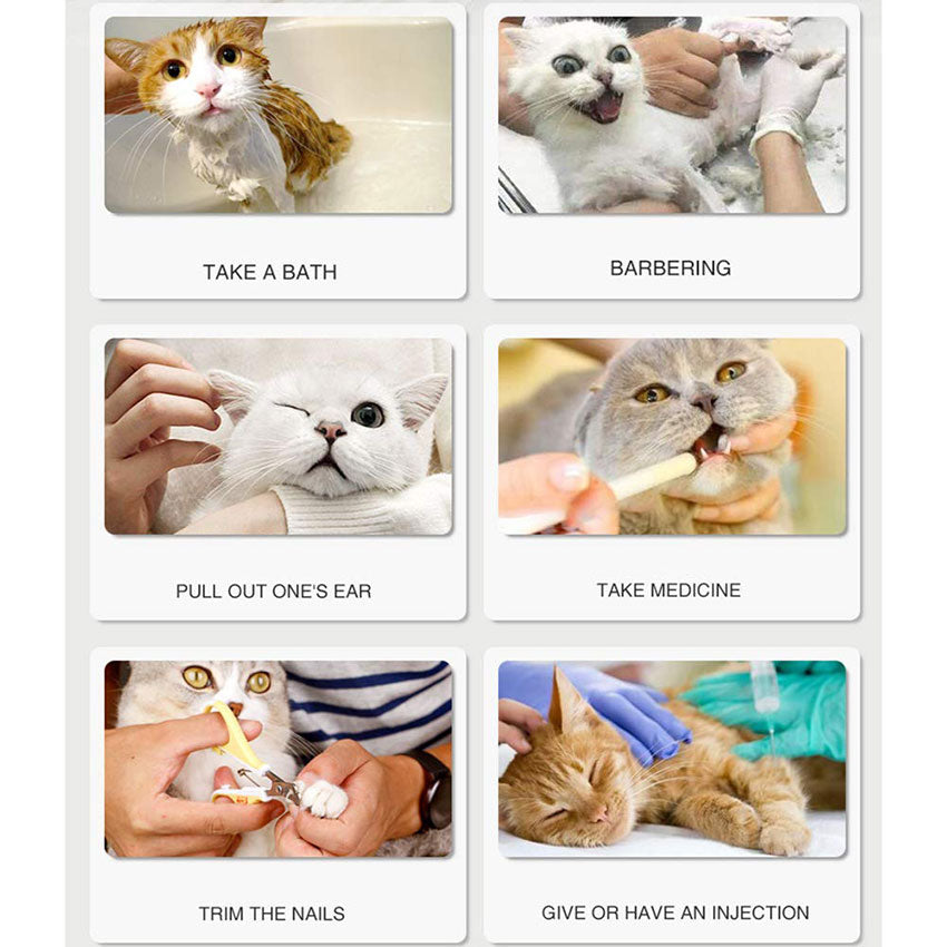 Silicone Cat Paw Protection Anti-Scratch Shoes (4pcs) by HitMyNeed