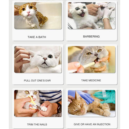 Silicone Cat Paw Protection Anti-Scratch Shoes (4pcs) by HitMyNeed