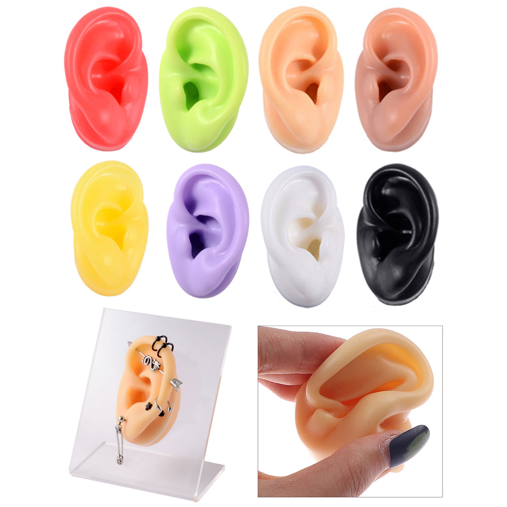 Silicone Ear Model Display with Acrylic Stand by HitMyNeed