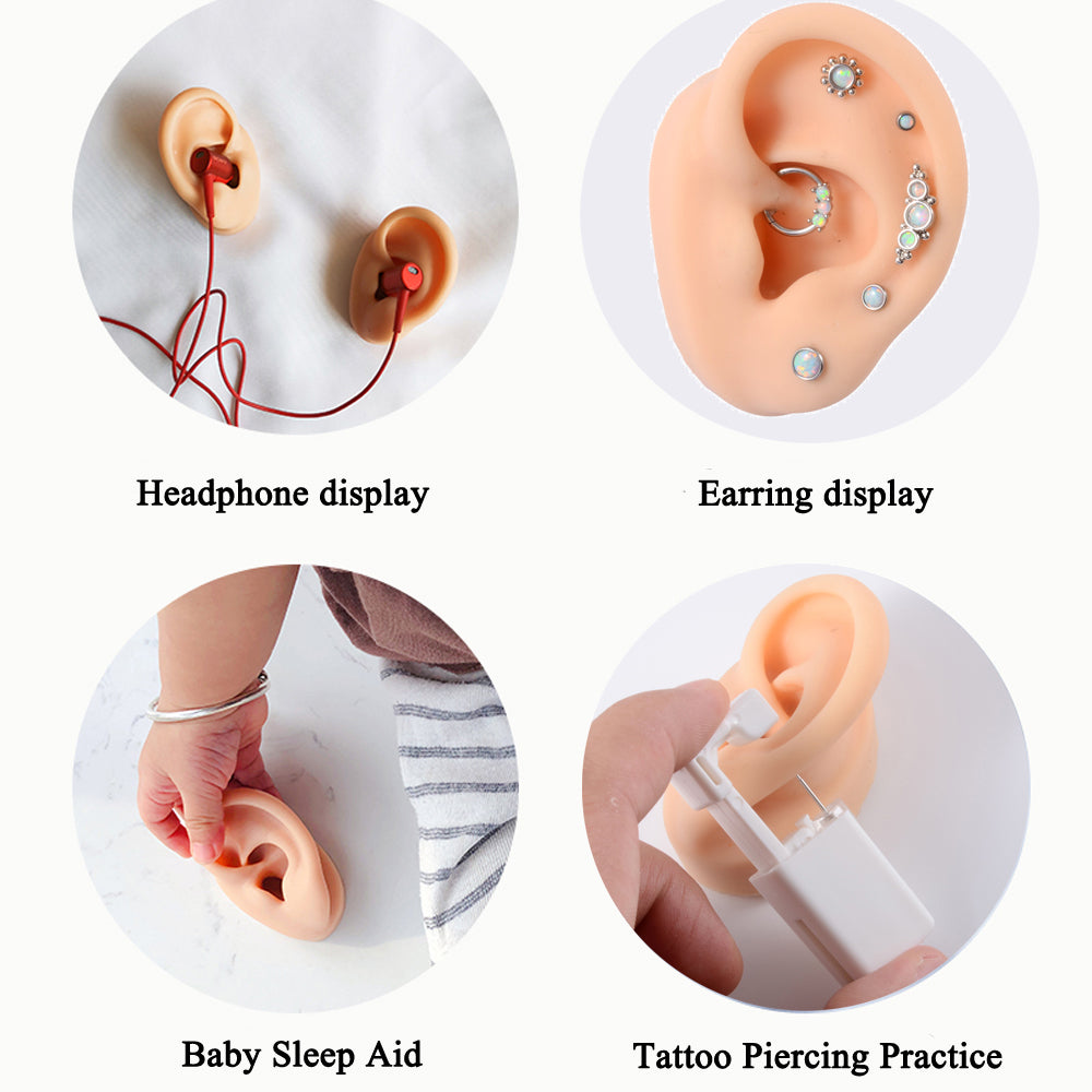 Silicone Ear Model Display with Acrylic Stand by HitMyNeed