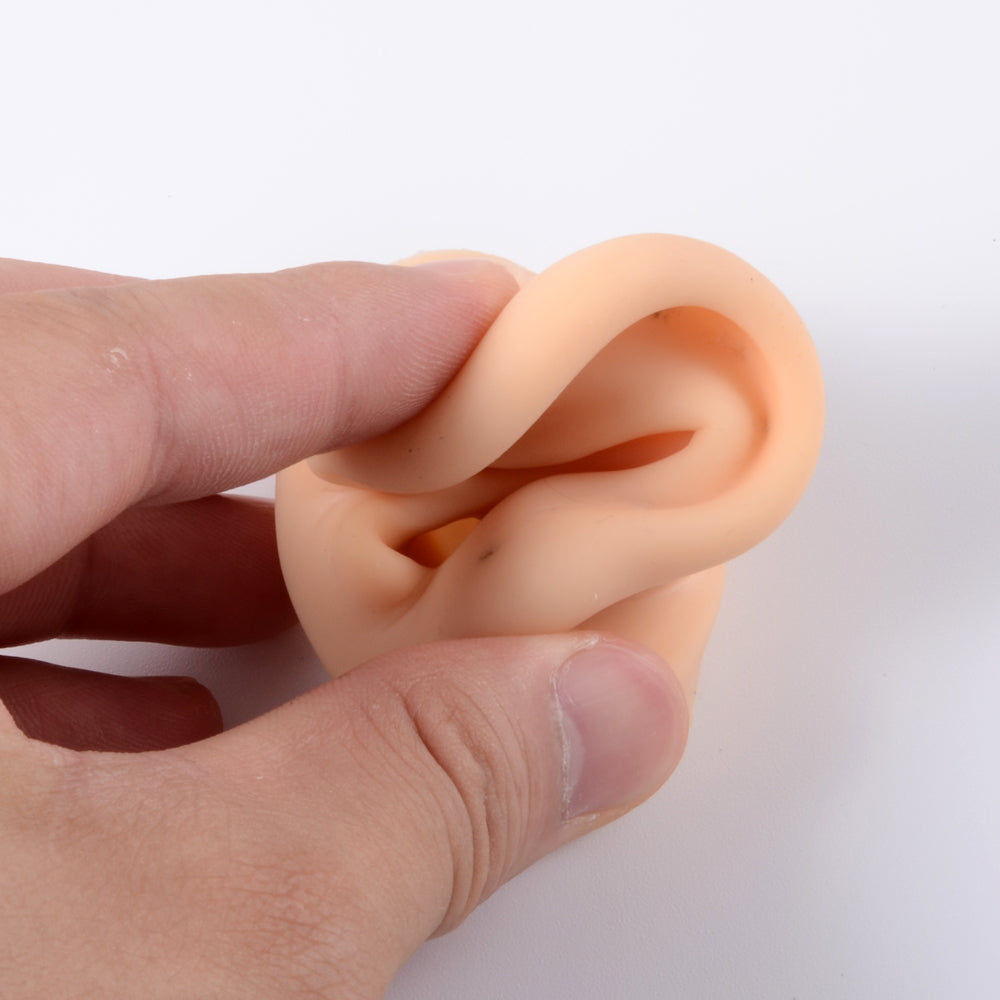 Silicone Ear Model Display with Acrylic Stand by HitMyNeed