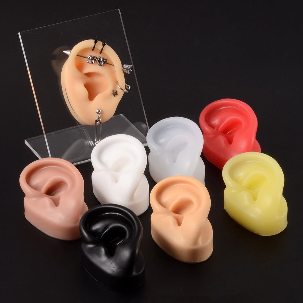 Silicone Ear Model Display with Acrylic Stand by HitMyNeed