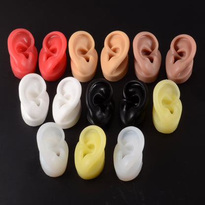 Silicone Ear Model Display with Acrylic Stand by HitMyNeed