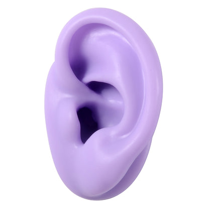 Silicone Ear Model Display with Acrylic Stand purple-left-ear by HitMyNeed