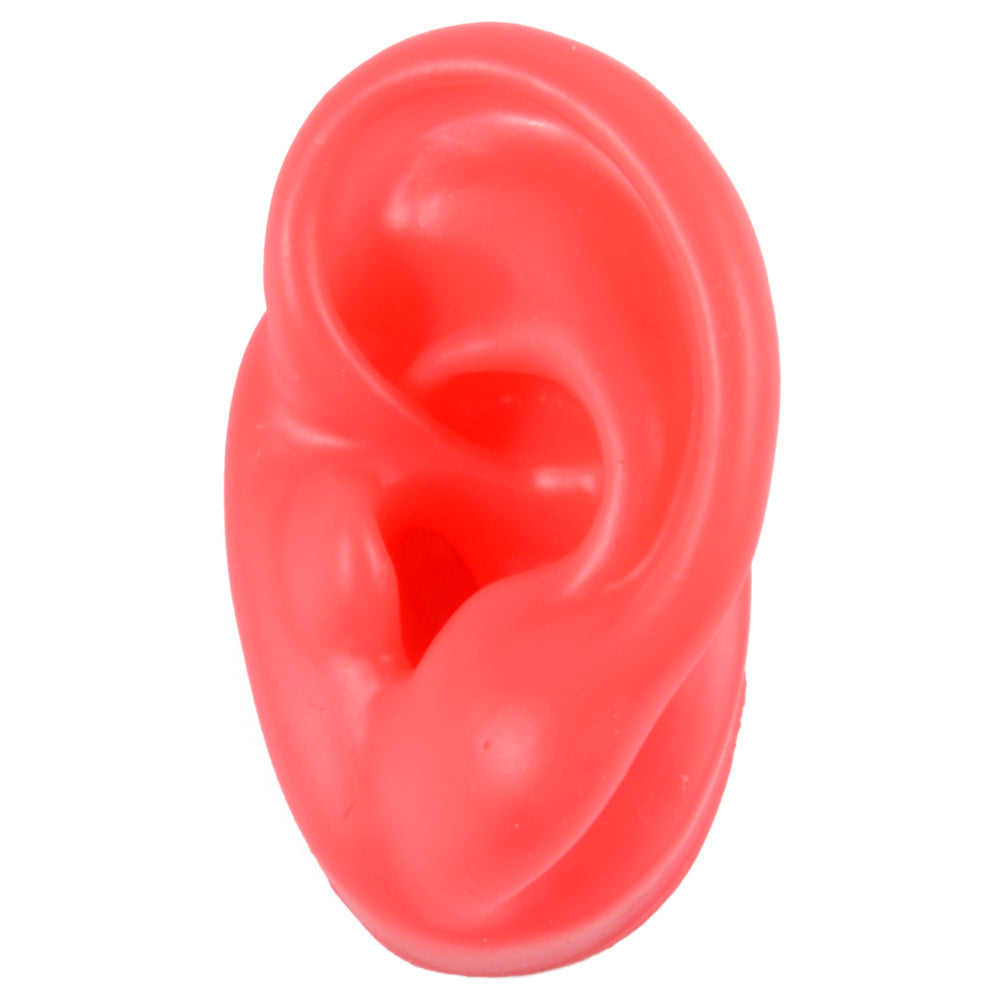 Silicone Ear Model Display with Acrylic Stand red-left-ear by HitMyNeed