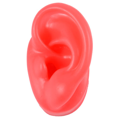 Silicone Ear Model Display with Acrylic Stand red-left-ear by HitMyNeed