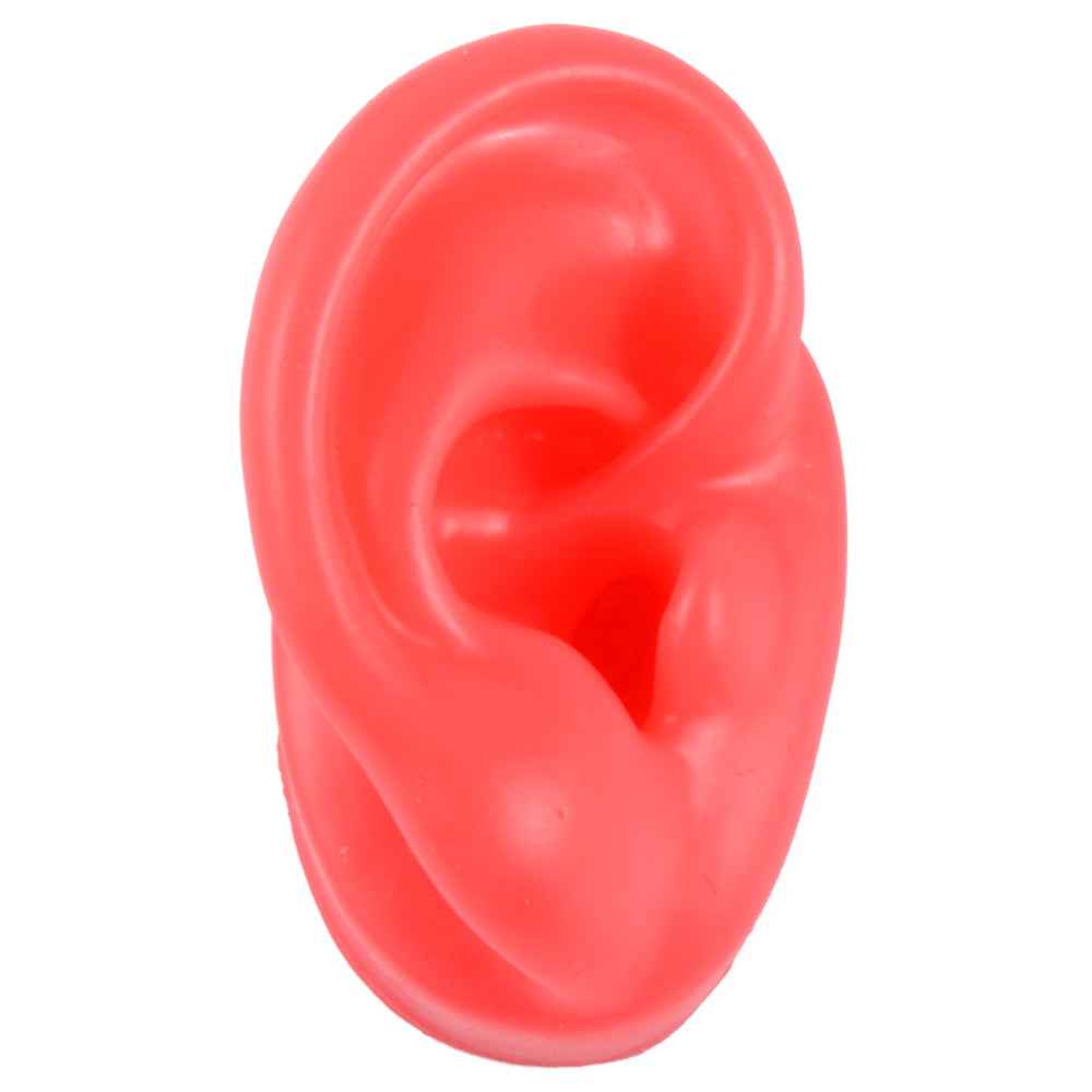 Silicone Ear Model Display with Acrylic Stand red-right-ear by HitMyNeed