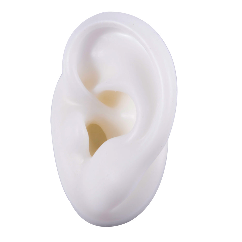 Silicone Ear Model Display with Acrylic Stand white-left-ear by HitMyNeed