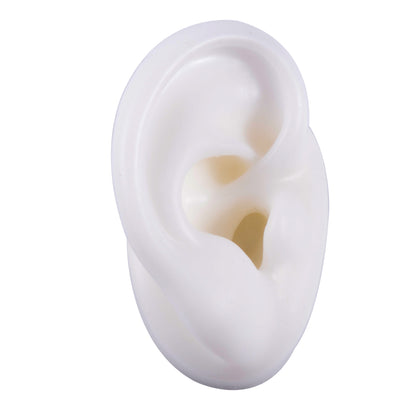 Silicone Ear Model Display with Acrylic Stand white-right-ear by HitMyNeed