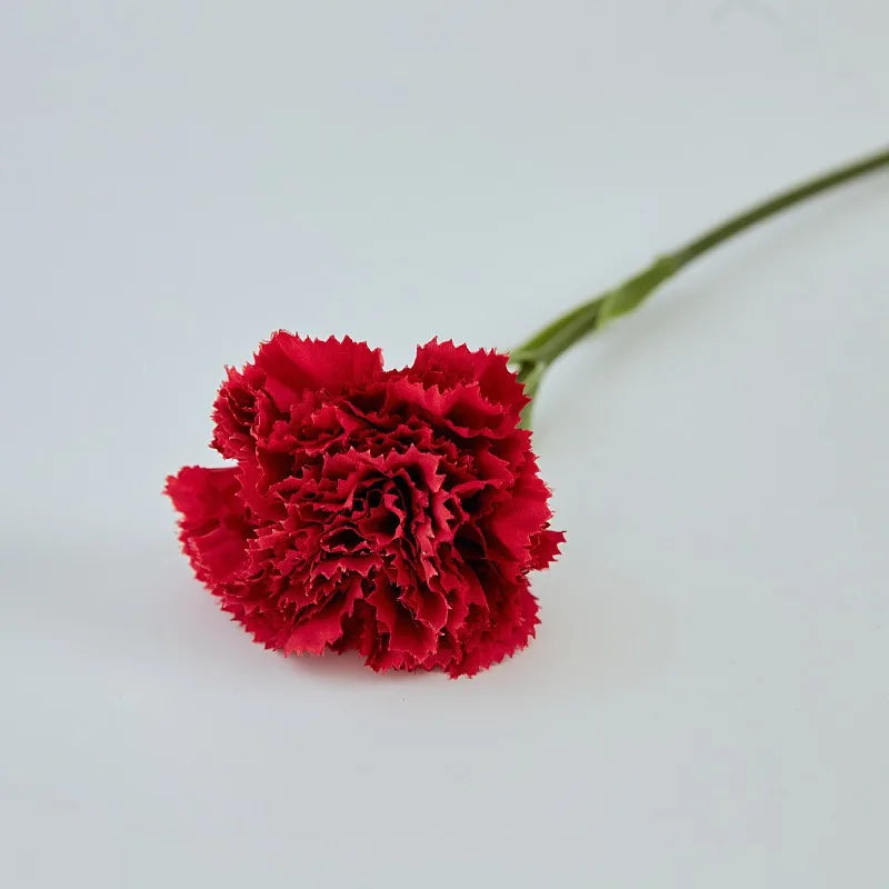Silk Artificial Carnation Stem 28cm 1.0 by HitMyNeed