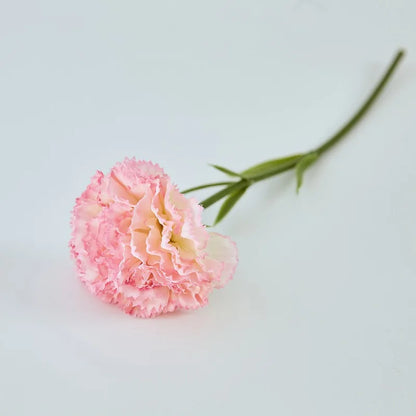 Silk Artificial Carnation Stem 28cm 6.0 by HitMyNeed
