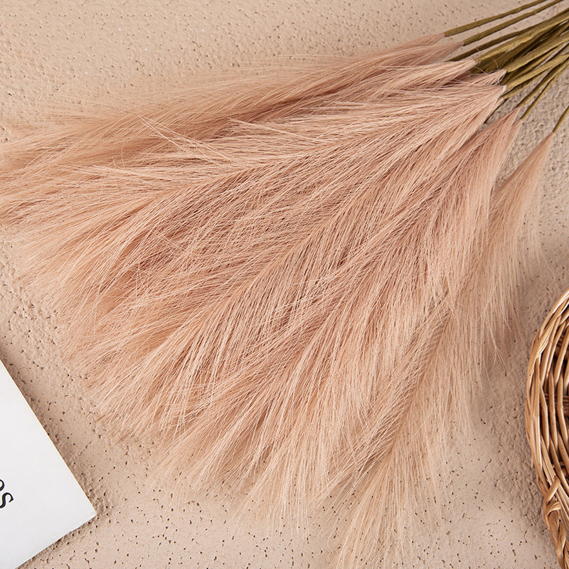 Silk Artificial Pampas Grass Decor Set (5 Stems) light-brown by HitMyNeed