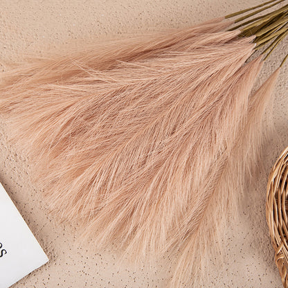 Silk Artificial Pampas Grass Decor Set (5 Stems) light-brown by HitMyNeed
