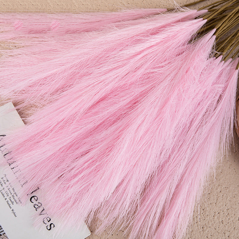 Silk Artificial Pampas Grass Decor Set (5 Stems) light-pink by HitMyNeed