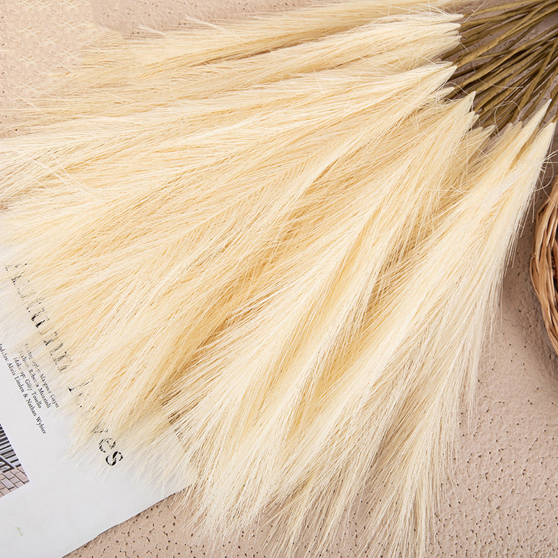 Silk Artificial Pampas Grass Decor Set (5 Stems) light-yellow by HitMyNeed