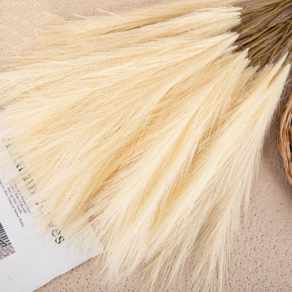 Silk Artificial Pampas Grass Decor Set (5 Stems) light-yellow by HitMyNeed
