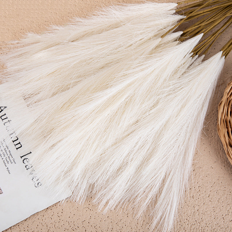 Silk Artificial Pampas Grass Decor Set (5 Stems) milk-white by HitMyNeed