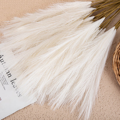 Silk Artificial Pampas Grass Decor Set (5 Stems) milk-white by HitMyNeed