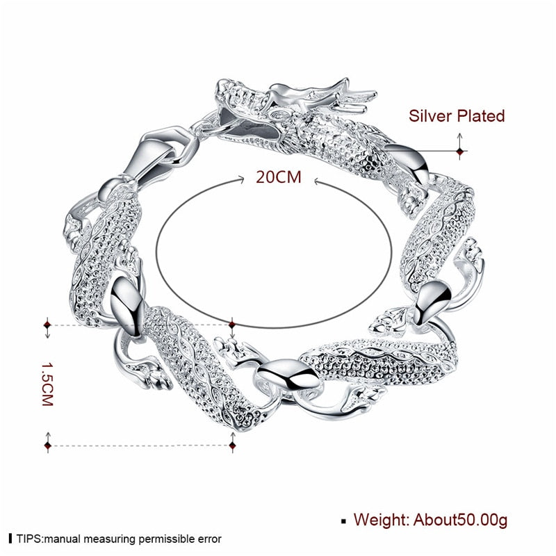 Silver Dragon Link Chain Bracelet, 20cm by HitMyNeed