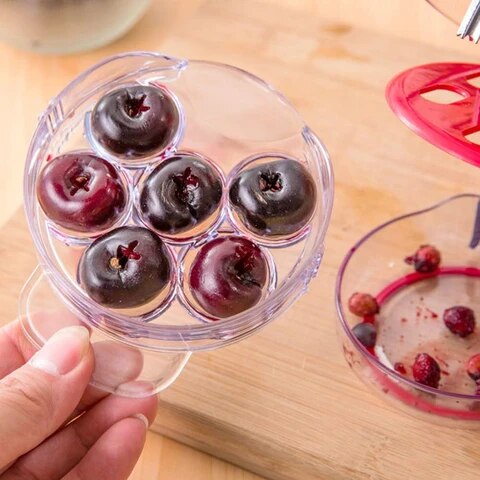Six Slot Cherry Pitter Seed Remover Tool by HitMyNeed