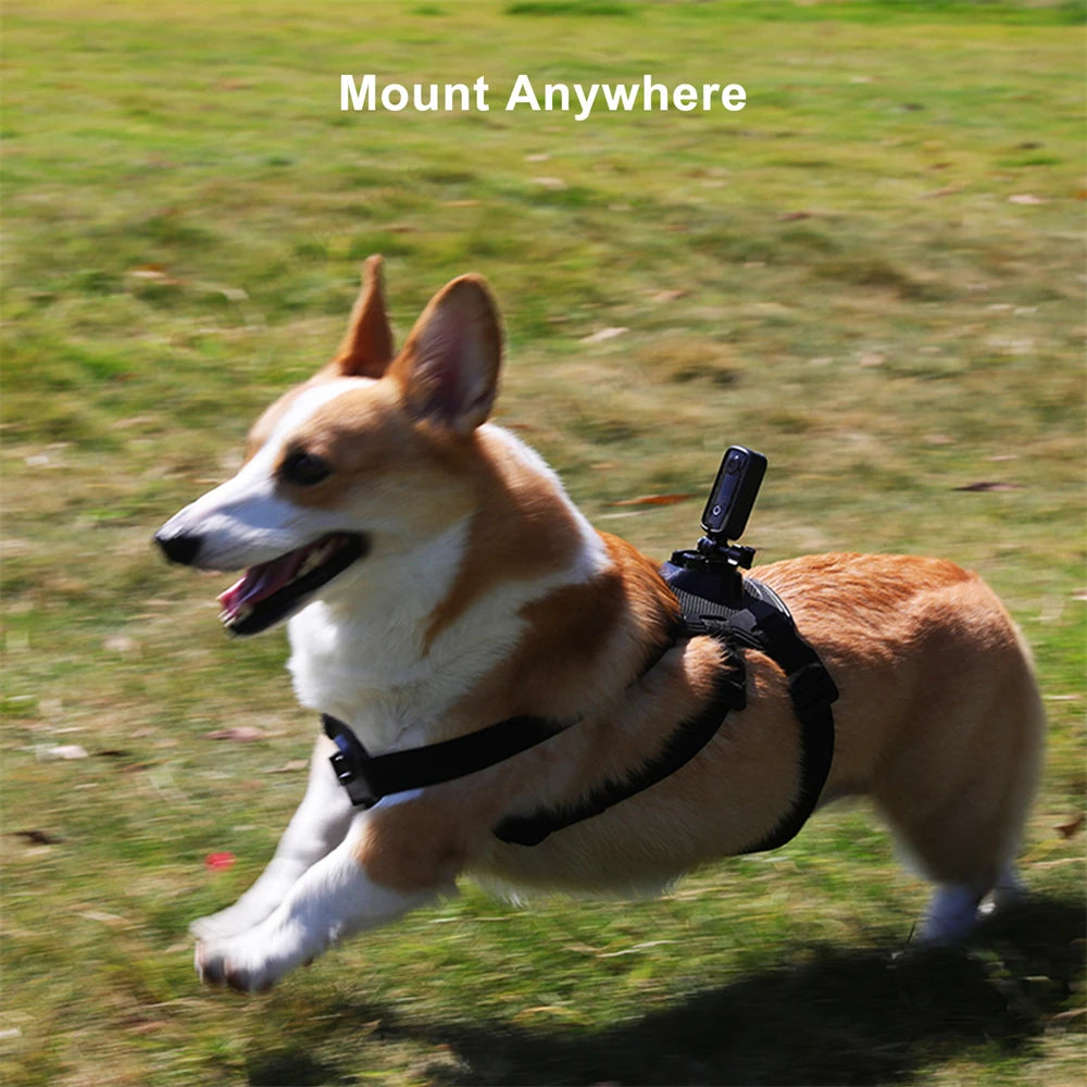 SJCAM C100 Plus 4K Action Camera with EIS & WiFi by HitMyNeed