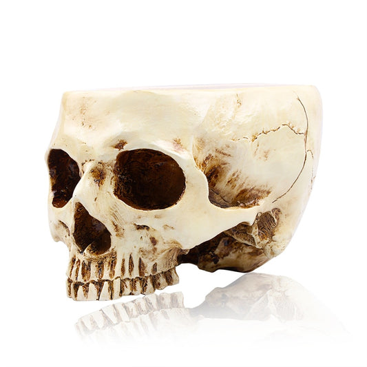Skull Resin Sculpture Multifunctional Decor Pot by HitMyNeed