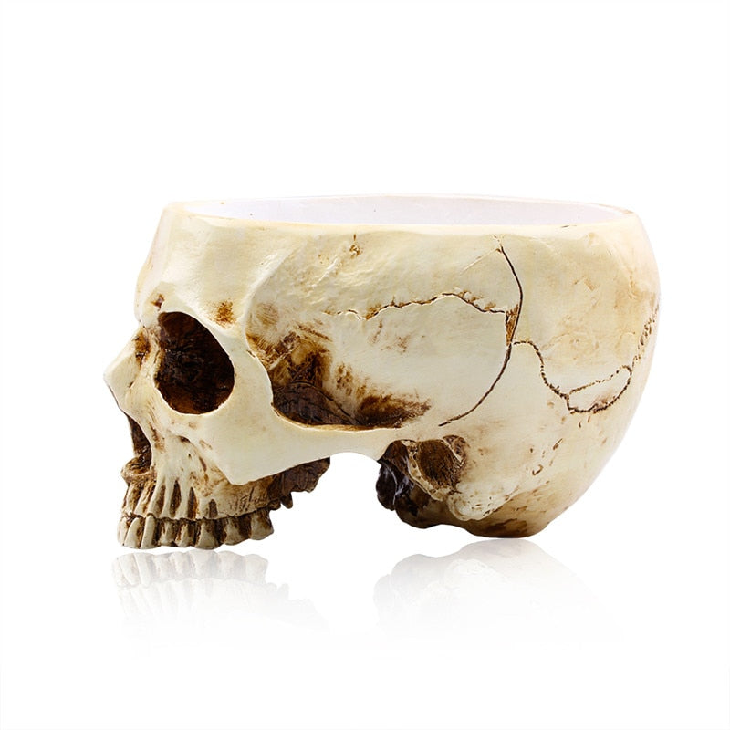 Skull Resin Sculpture Multifunctional Decor Pot by HitMyNeed
