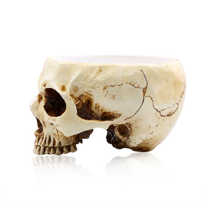 Skull Resin Sculpture Multifunctional Decor Pot by HitMyNeed