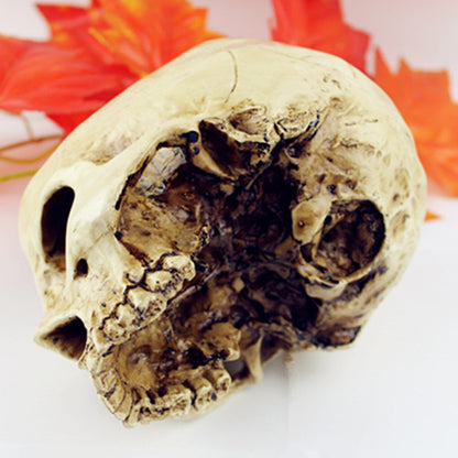 Skull Resin Sculpture Multifunctional Decor Pot by HitMyNeed