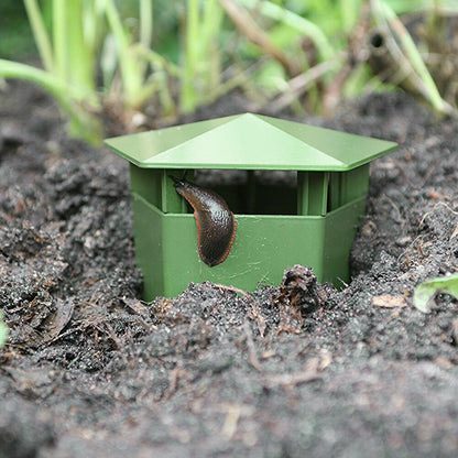 Slug and Snail Trap Plastic Box for Gardens by HitMyNeed