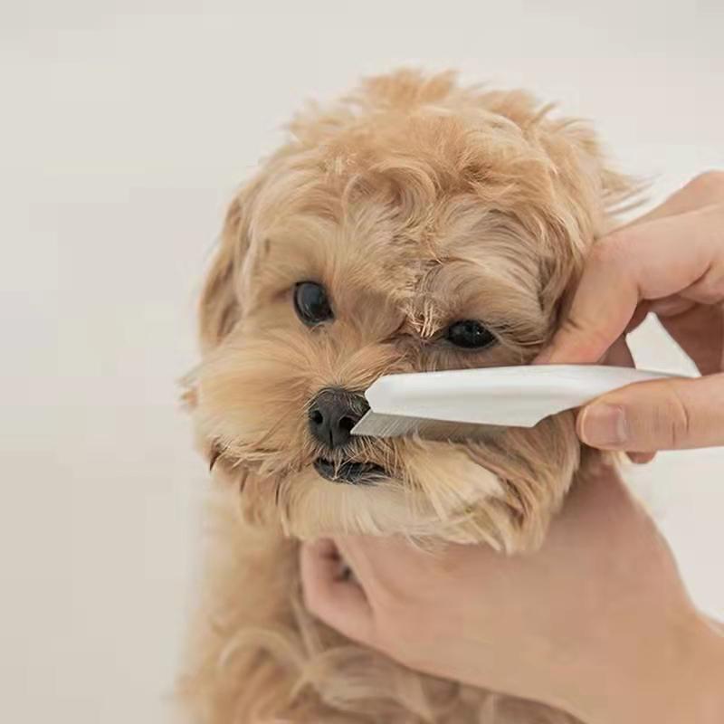 Small Dog Facial Cleaning Brush and Comb Tool by HitMyNeed