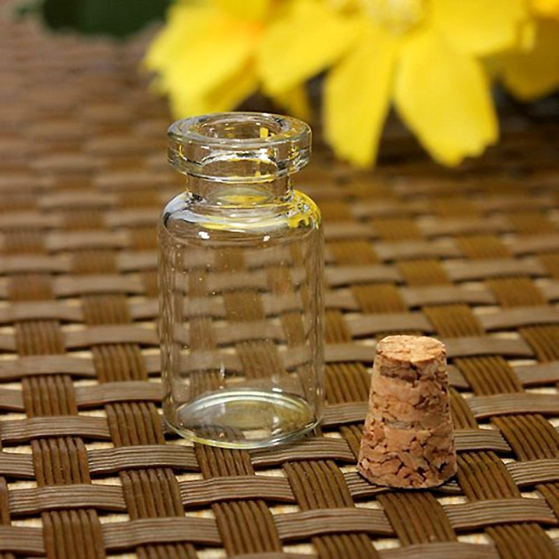 Small Glass Bottles with Cork Stoppers (Set of 10) by HitMyNeed