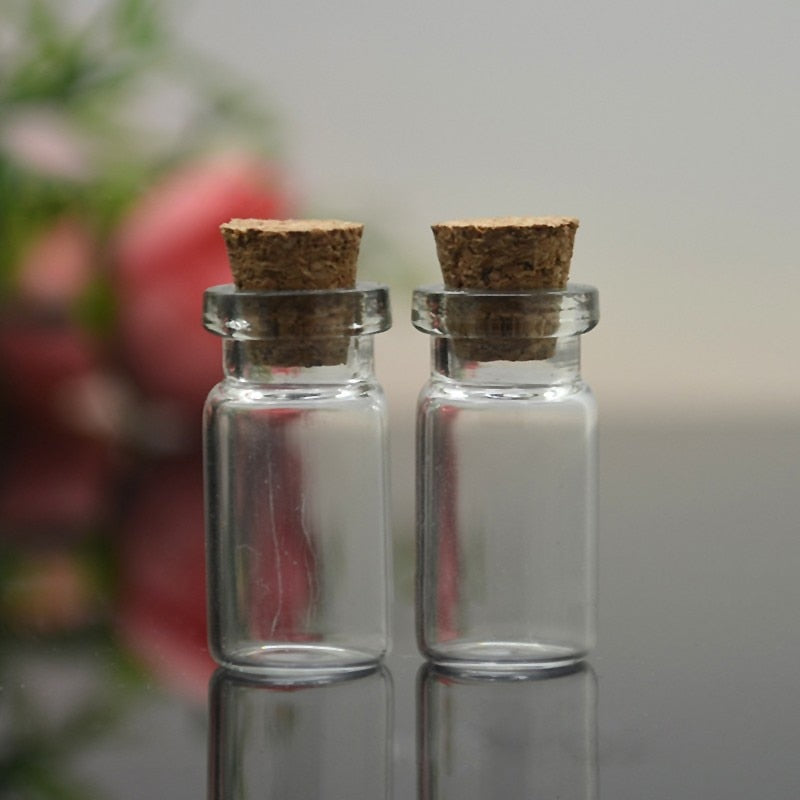 Small Glass Bottles with Cork Stoppers (Set of 10) by HitMyNeed