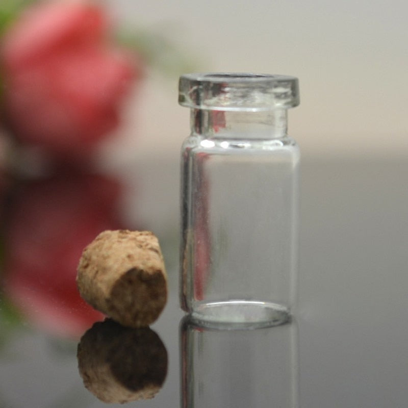 Small Glass Bottles with Cork Stoppers (Set of 10) by HitMyNeed