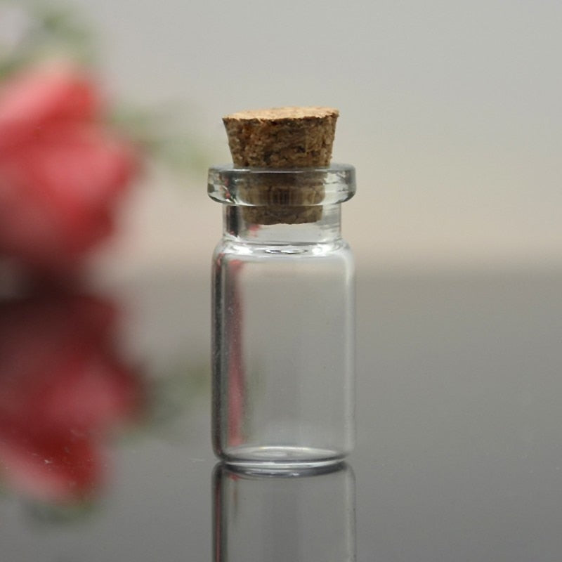 Small Glass Bottles with Cork Stoppers (Set of 10) by HitMyNeed