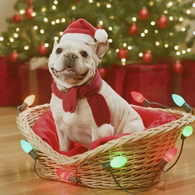 Small Plush Santa Hat for Cats and Small Dogs by HitMyNeed