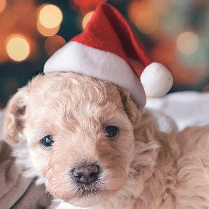 Small Plush Santa Hat for Cats and Small Dogs by HitMyNeed