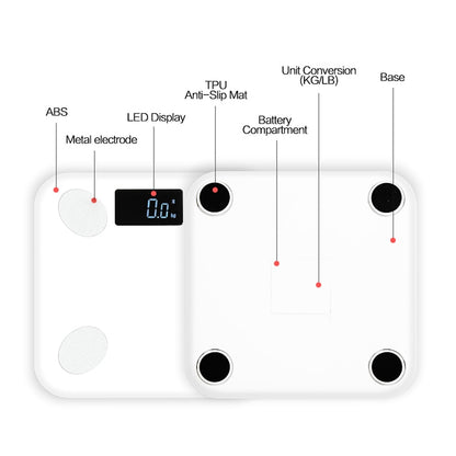 Smart Bathroom Scale with 17 Body Metrics, App Sync by HitMyNeed