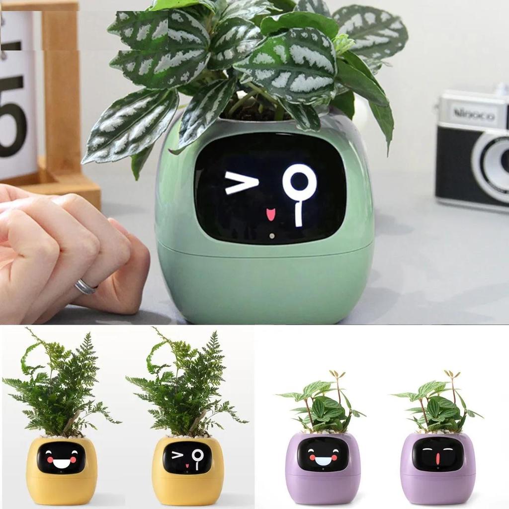 Smart Planter with AI, 49 Expressions & 7 Sensors by HitMyNeed