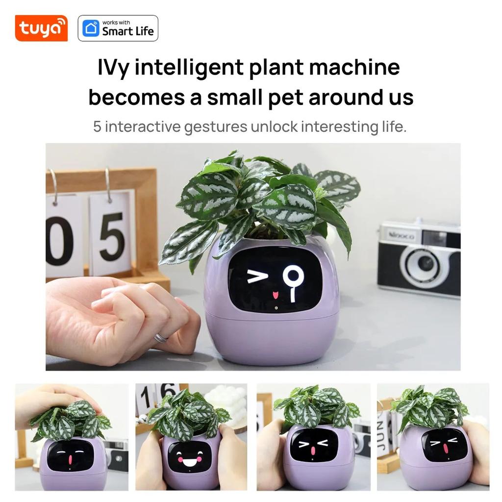 Smart Planter with AI, 49 Expressions & 7 Sensors by HitMyNeed
