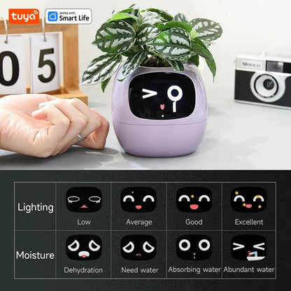 Smart Planter with AI, 49 Expressions & 7 Sensors by HitMyNeed