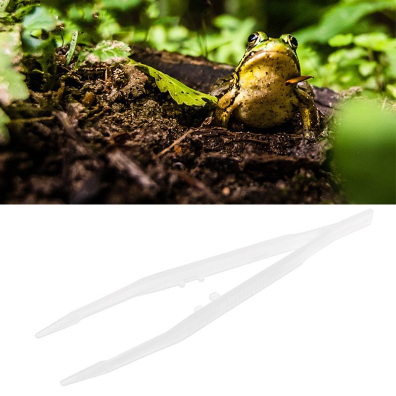 Snake Feeding Tongs Reptile Tweezers 18cm by HitMyNeed