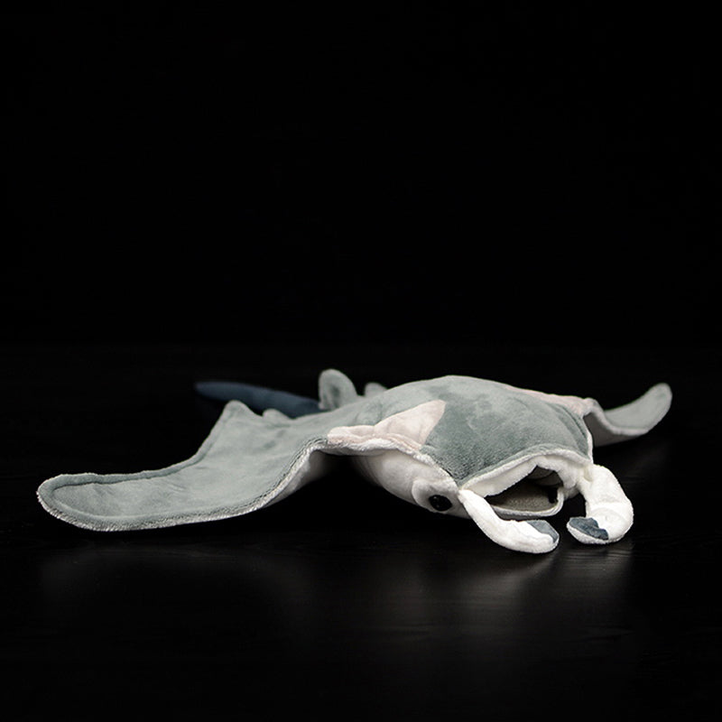 Soft Cotton Stingray Plush Toy devil-rays-38cm-long by HitMyNeed