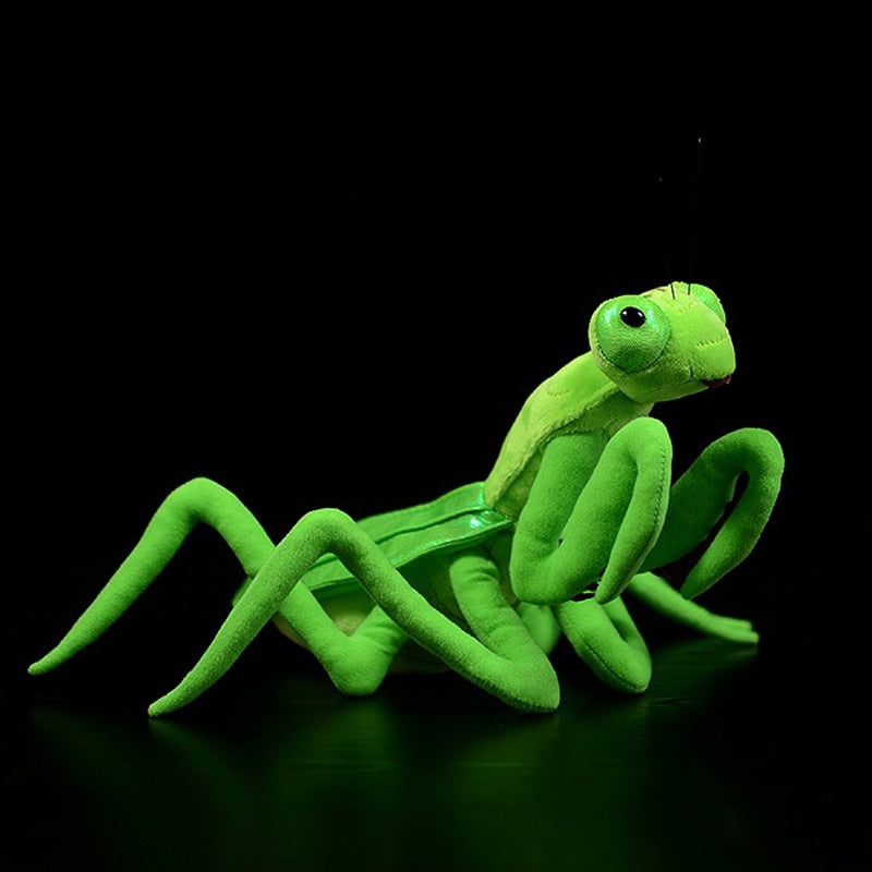 Soft Plush Praying Mantis Stuffed Animal Toy 32cm by HitMyNeed