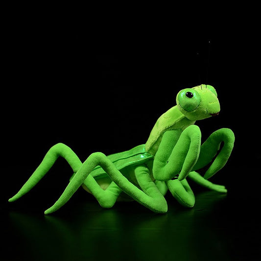 Soft Plush Praying Mantis Stuffed Animal Toy 32cm by HitMyNeed