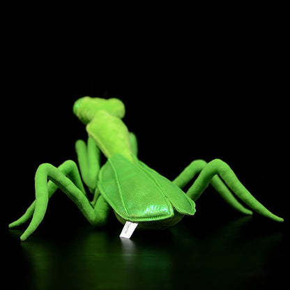 Soft Plush Praying Mantis Stuffed Animal Toy 32cm by HitMyNeed