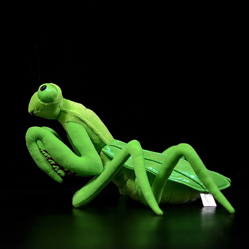 Soft Plush Praying Mantis Stuffed Animal Toy 32cm by HitMyNeed
