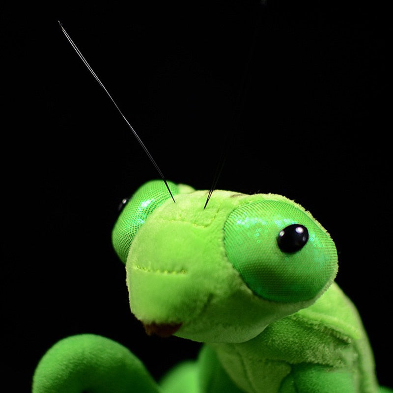 Soft Plush Praying Mantis Stuffed Animal Toy 32cm by HitMyNeed