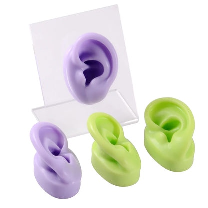 Soft Silicone Ear Piercing & Tattoo Practice Model by HitMyNeed